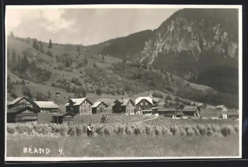 AK Brand, Ortspartie, Bauer bindet Ähren auf dem Feld