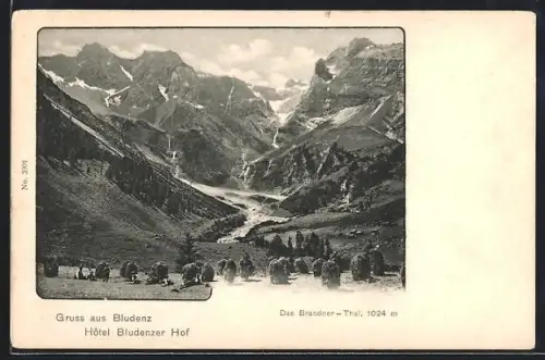 AK Bludenz, Blick ins Brandner Tal