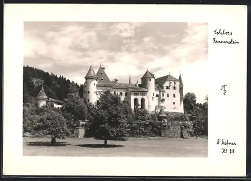 Foto-AK Adalbert Defner: Frauenstein, Blick zum Schloss