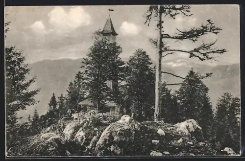 AK Bad Aussee, Tressensteinwarte mit Dachstein