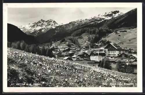 AK St. Anton a. A., Ortsansicht von einer Krokuswiese aus