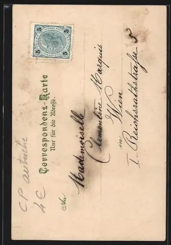 Lithographie Wien I, Stephansplatz, Stephansdom, Spaziergänger um 1900