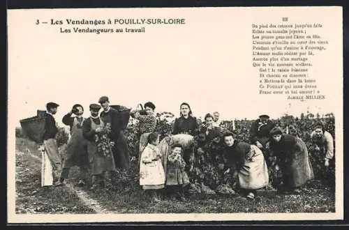 AK Pouilly-sur-Loire, Les Vendanges à Pouilly-sur-Loire, les vendangeurs au travail