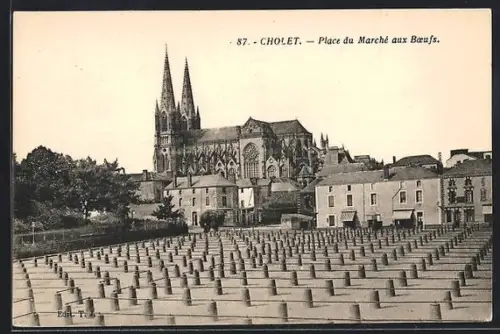 AK Cholet, Place du Marché aux Boeufs