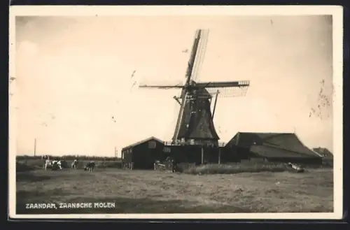 AK Zaandam, Zaansche Molen, Windmühle