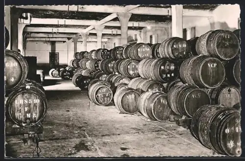 AK Reims, Champagne Veuve Clicquot-Ponsardin, Les vins de la récente vendage s`amassent dans les celliers, Wein