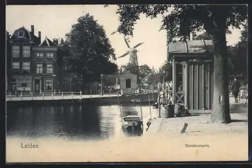 AK Leiden, Beestenmarkt, Windmühle
