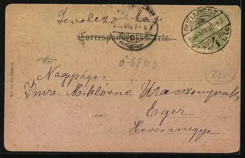 Lithographie Feldkirch /Vorarlberg, Mariagrün, Neustadt mit Schattenburg, Totalansicht