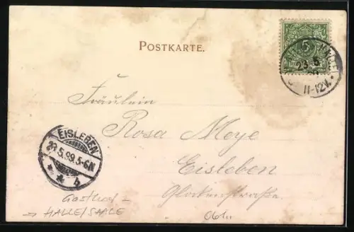 AK Halle /Saale, Gasthof Leistners Waldhaus in der Dölauer Haide, Vorderansicht Kurhaus