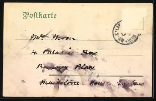 AK Bad Langenschwalbach, Hotel Metropole mit Grünanlage