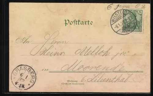 Lithographie Wilstedt / Tarmstedt, Hottendorf`s Geschäftshaus, Niedersächsischer Bauernhof, Kiche und Ortsansicht