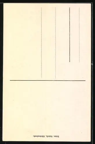 AK Lützel bei Hilchenbach, Gasthaus v. F. Schneider, Hof Ginsberg, Giller mit Aussichtsturm