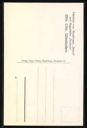 AK Wiesbaden, Moritzstr. 12, Drogerie Otto Lilie