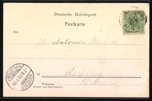 AK Hamburg-Neustadt, A. Kammeyer`s Gasthof, Club und Ballhaus, Zeughausmarkt 31