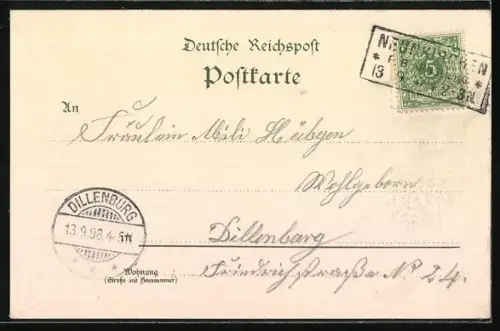 Lithographie Wiederstein, Gasthaus von L. W. Petri, Ortsansicht aus der Vogelschau