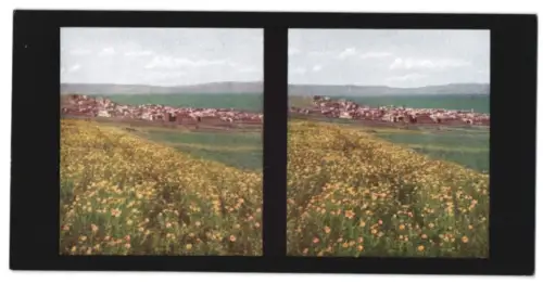 Stereo-Fotografie Chromoplast No. 178, Ansicht Tiberias, Blick über wiesen nach der Stadt
