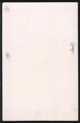 AK Opernsängerin Irene Reichl mit Hut