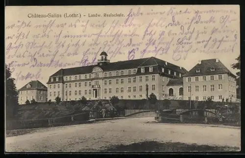 AK Chateau-Salins /Lothr., Landw. Realschule