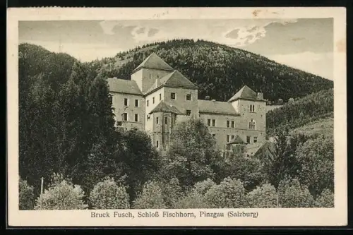 AK Bruck Fusch /Pinzgau, Schloss Fischhorn