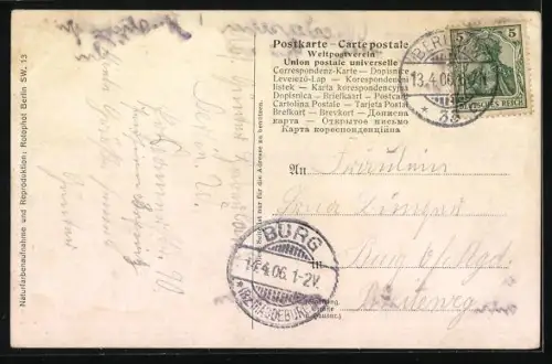 AK Berlin, Löwe liegt im Gehege des Zoologischen Gartens