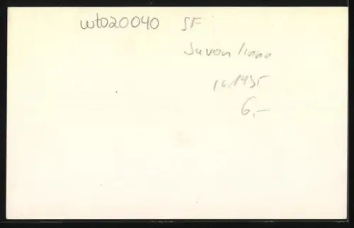 AK Savonlinna, Ortsansicht mit Burg