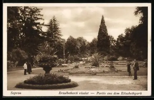AK Sopron, Partie aus dem Elisabeth-park