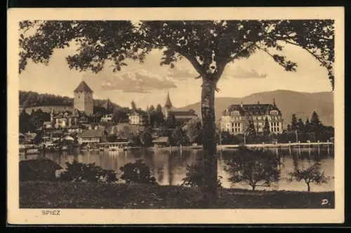 AK Spiez, Blick auf Ort mit Burg