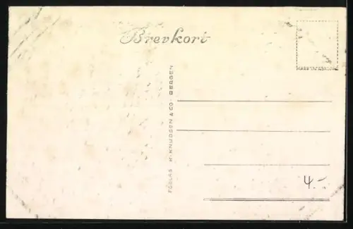 AK Stalheim, Panorama mit Hotel