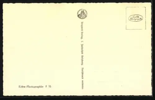 AK Fuschl, Blick auf den Fuschlsee mit Schafberg