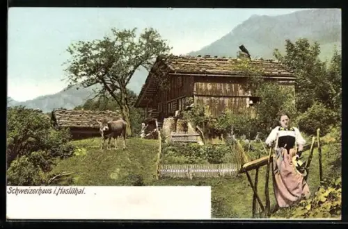 AK Haslithal, Das Schweizerhaus, Kuh