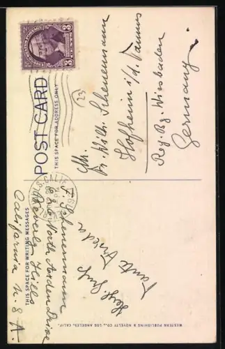 AK Cactus in Bloom, blühender Kaktus