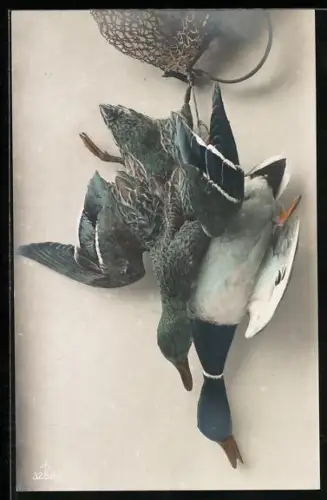 AK Jagdstillleben, zwei abgeschossene Flugenten