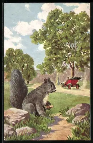 AK Graues Eichhörnchen mit Nuss neben einer Strasse, Automobil