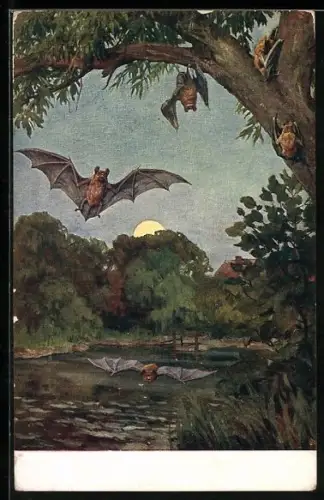 AK Fledermäuse gehen im Mondenschein auf die Jagd