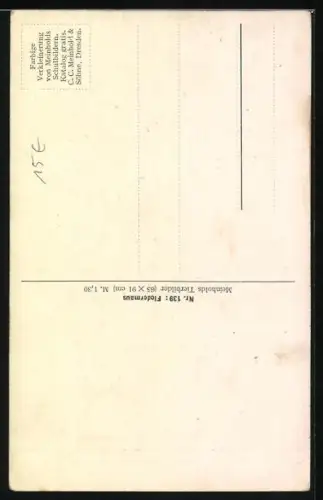 AK Fledermäuse gehen im Mondenschein auf die Jagd