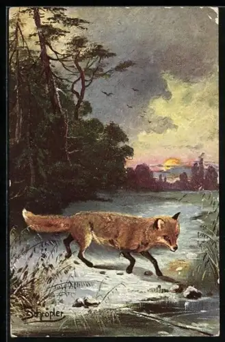 Künstler-AK Schröder: Fuchs im Schnee