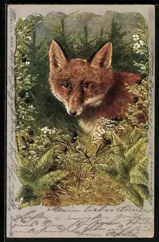 AK Fuchs auf einer Lichtung