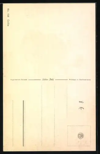 AK Collie auf der Wiese