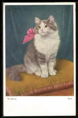 AK Katze mit rosa Bändchen