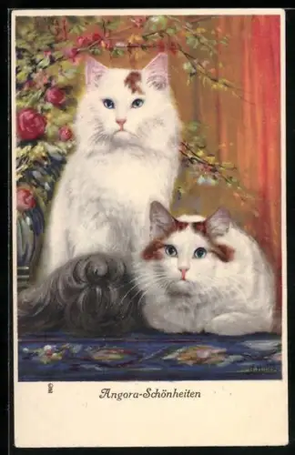 Künstler-AK Angora-Schönheiten, zwei Angorakatzen unter einem Blumenstrauss