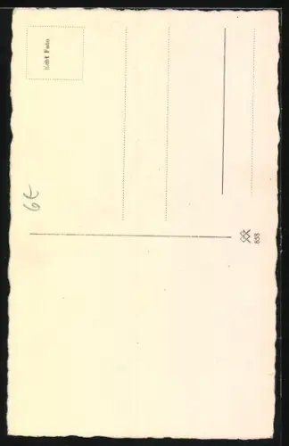 AK Angorakatze im Portrait