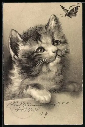 Lithographie Kätzchen beobachtet Schmetterling