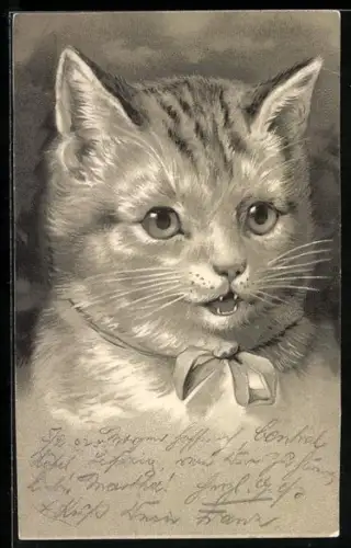 Lithographie Katze mit Halsschleife
