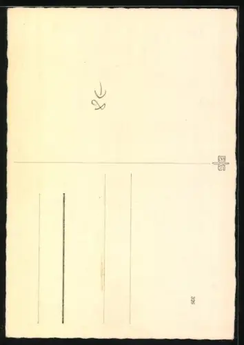 AK Portrait eines Chow Chow