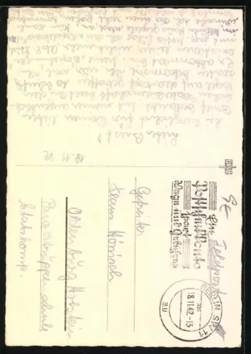 AK Portrait eines Chow Chow