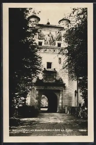 AK Wallsee a. d. Donau, Schlosseinfahrt mit Mosaikbild