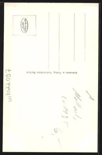 AK Mallnitz, Ortsansicht mit Ankogel