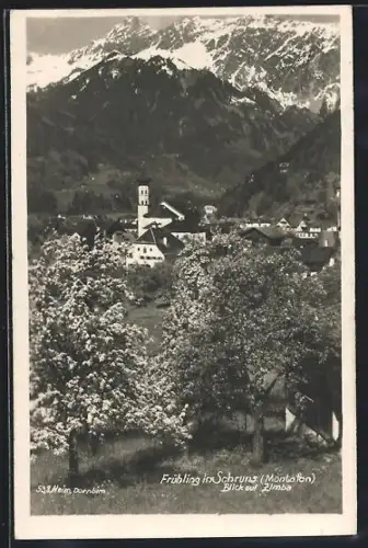 AK Schruns /Montafon, Blick auf Zimba im Frühling