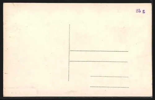 AK Feldkirch, An der Franz Josefsbrücke