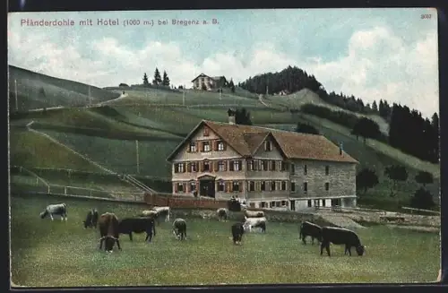 AK Bregenz a. B., Gasthaus Pfänderdohle mit Hotel